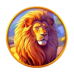 Lion
Safari